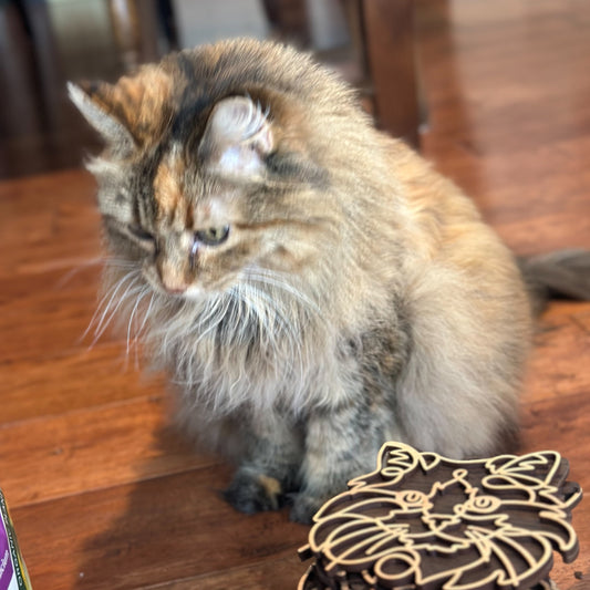 Personalized Cat Breed Ornament - Custom Wood Pet Keepsake