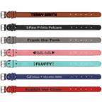 Custom Engraved Dog Collar