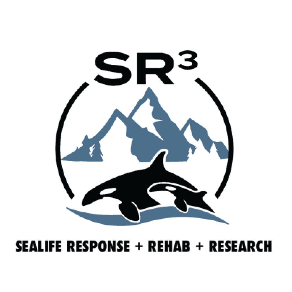 trusted by nonprofit organizations